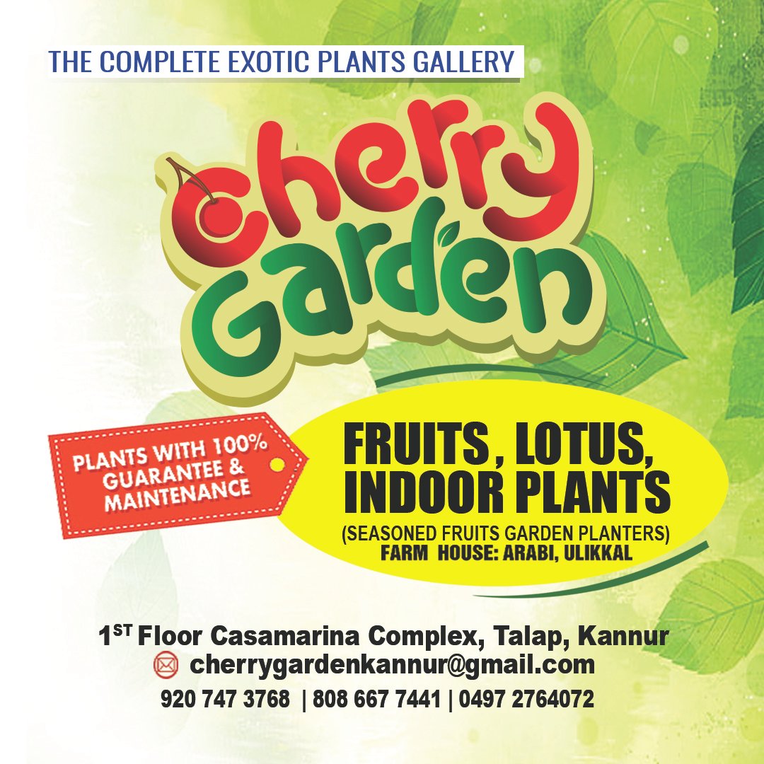 Work created for Cherry Garden
